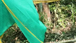 Heatwave A/B: Temp, RH, and Light Under Sunshade Nets